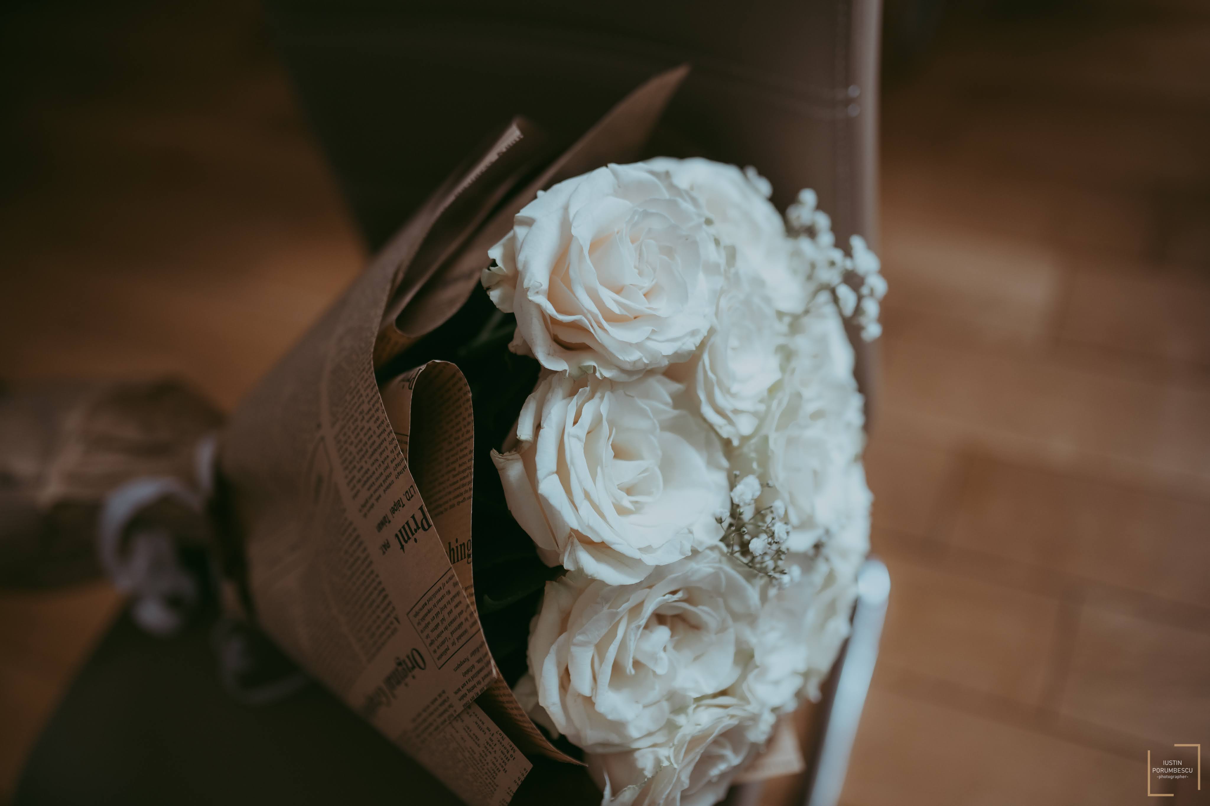 Beatrice & Petru — 13